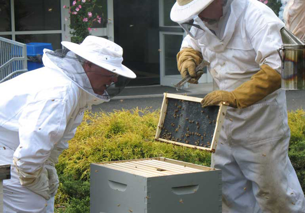 beekeepers at hive