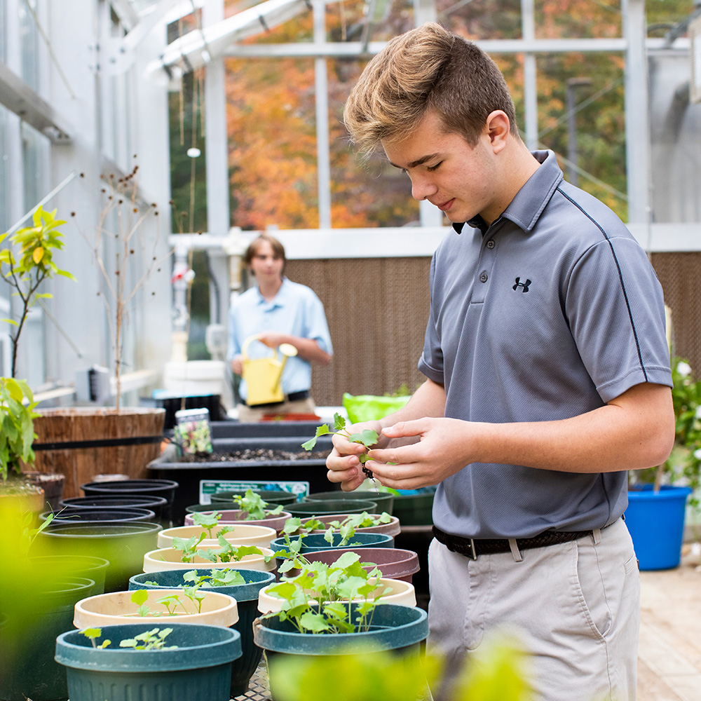 students in school greenhouse