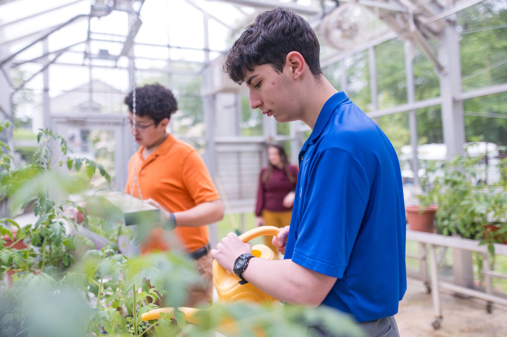 students in school greenhouse
